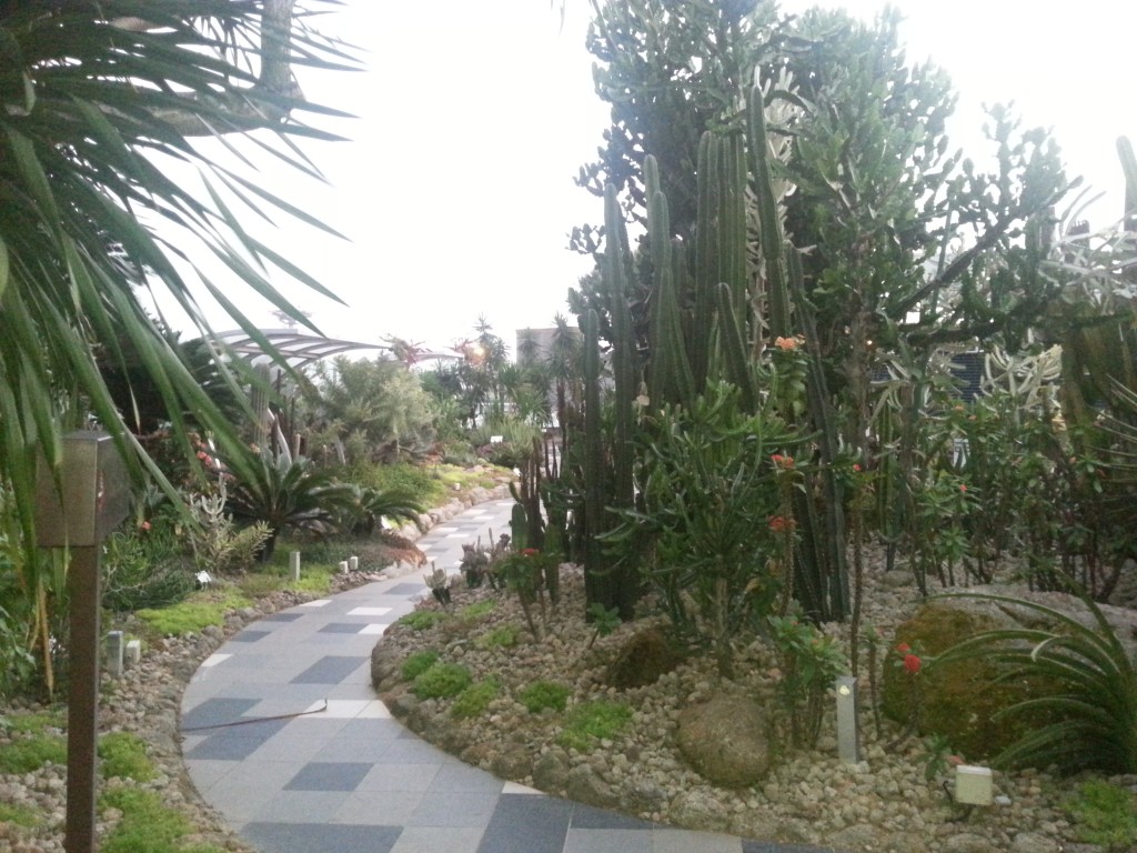 Jardín de cactuses