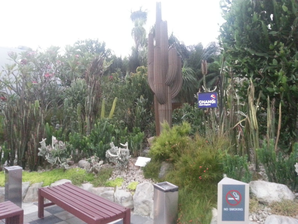 Jardín de cactuses 