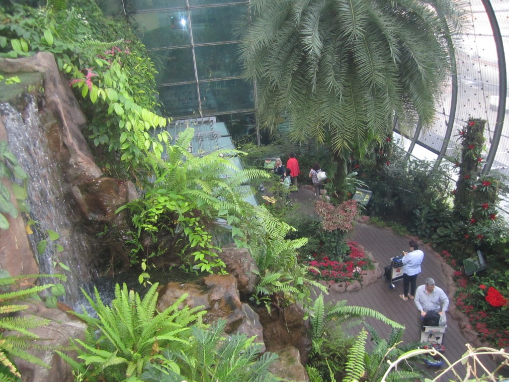 Cascada de 6 metros dentro del jardín de mariposas