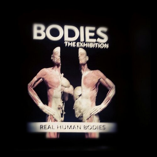 Bodies Vegas