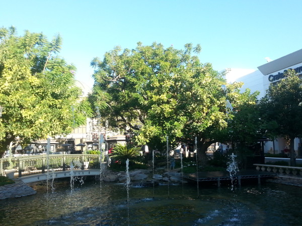 The Grove LA