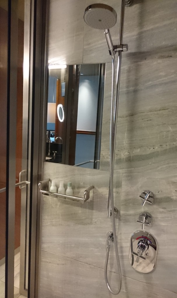 una ducha con puertas de cristal
