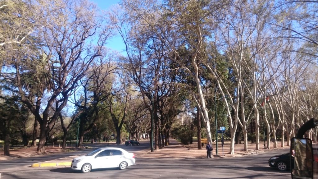 Mendoza Ciudad 7